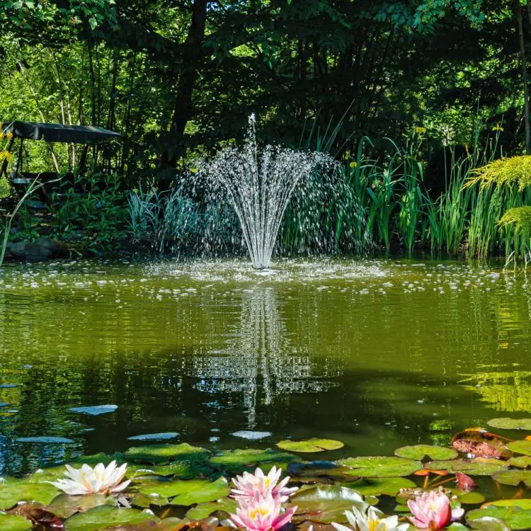 Solar Pond Pumps