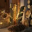 Outdoor battery fairy lights, Silver Wire Micro, 50 White LEDs : close up of string