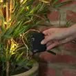 Outdoor battery fairy lights, Silver Wire Micro, 50 White LEDs : close up of string