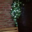 Outdoor battery fairy lights, Silver Wire Micro, 50 White LEDs : close up of string
