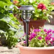 Avant Solar Stake Lights – Super Bright 5 Pack – Lifestyle 1
