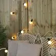 Battery Festoon Lights 10 Warm White