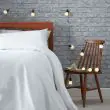 Battery Festoon Lights 10 Warm White
