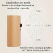 Battery Motion Sensor Light in Beach