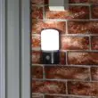 Battery Pir Motion Sensor light in shed