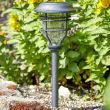 Capri Solar Stake Light