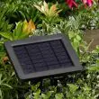 Ceramic Frog Solar Water Feature - solar panel 