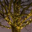 ConnectGo Fairy Lights Connectable 5 - 160m showing the led string
