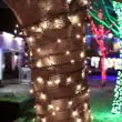 ConnectGo Fairy Lights Connectable 5 - 160m showing the led string