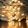 ConnectPro Connectable Outdoor LED String Lights, White Rubber Cable