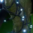 ConnectPro Outdoor Lights Flash Bulb, Black Cable