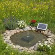Solar Pond Filter for Small Ponds showing how the filter works