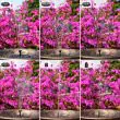 Solar Floating Fountain 3.5 Watt