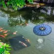 Floating Solar Pond Aerator 