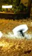 Round and square Halo lights on a lawn (round supplied; square version planned)