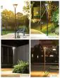 Horizon solar lamp post on a paved plaza at night
