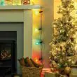 Indoor & Outdoor Festoon Lights 10 Multi Colour
