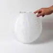 Large Chinese Lanterns 30 cm showing full kit