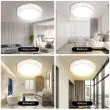 Outdoor & Indoor Solar Ceiling Light 100W with Remote Control – Lifestyle 1