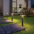 Premium Dual Color Solar Pathway Lamp | Remote Control Pathway Lighting At night highlighting a pathway and a featured rock 