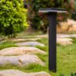 Premium Dual Color Solar Pathway Lamp | Remote Control Pathway Lighting At night highlighting a pathway and a featured rock 