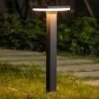 Premium Dual Color Solar Pathway Lamp | Remote Control Pathway Lighting At night highlighting a pathway and a featured rock 