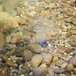 1.8W Pond Air Pump – Single Stone, 2 LPM for Small Ponds – Lifestyle