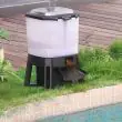 Solar Fish Feeder For Pond – Lifestyle