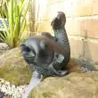 Solar Fish Spitter showing the full kit