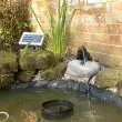 Solar Frog Pond Spitter on Rock