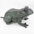 Solar Frog Spitter Showing Water Pump