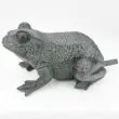 Solar Frog Spitter Showing Water Pump