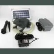 Solar Frog Spitter Showing Water Pump