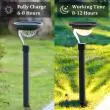 Solar Pathway Post Light – 100 Lumen, 57cm IP65 – Lifestyle 2