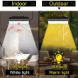 Solar Patio Light