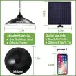 Solar Pendant Light
