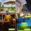 Solar Pendant Light