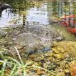 Solar Pond Air Pump Dual Stone With Battery Backup