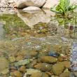 Solar Pond Air Pump Dual Stone With Battery Backup