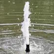 Solar Pond Fountain 3200 LPH showing pump disassembled 