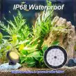 Solar Pond Lights – 3 LED Set, 8 Modes, Waterproof