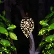 Solar Powered Butterfly Lanterns - 2 PK – Lifestyle 2