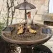 Solar Duck Water Feature