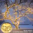 Solar Firefly Lights 200 Warm White
