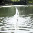 Solar Powered Fountain Water Pump - 100W | 3950 LPH | Battery Backup