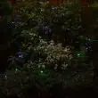Solar Powered String Lights 50 Multicolor
