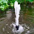 Sunspray SE 2000 - Professional Solar Pond Pump Showing the high conversion polycrystalline solar panel 