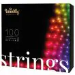 Twinkly Christmas Fairy Lights
