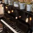 Vintage LED Festoon Lights outdoors in tree