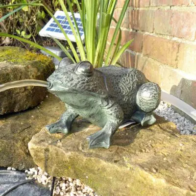 Solar Frog Spitter close up of spitting water
